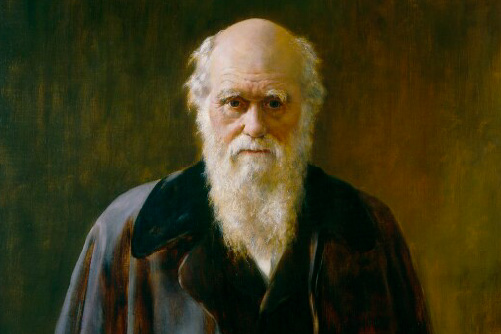 Portrait of an elderly Charles Darwin