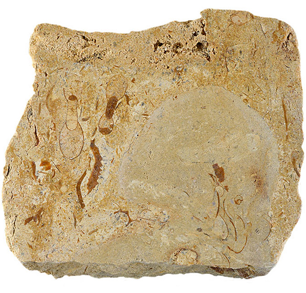 oolitic limestone