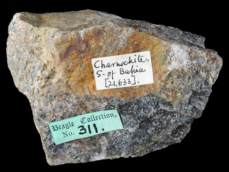 Myrmekitic granulite/charnockite