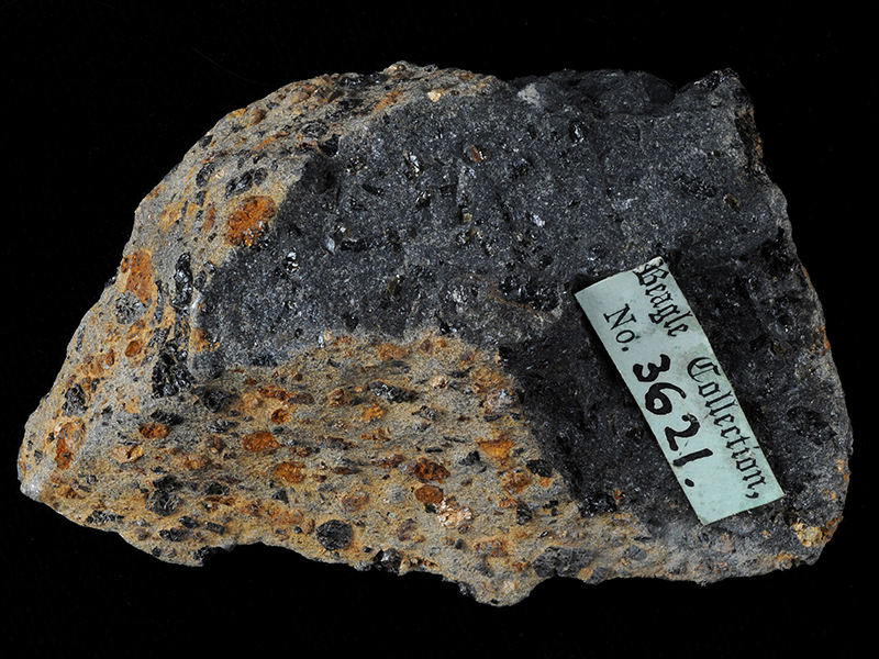 Porphyritic olivine basalt