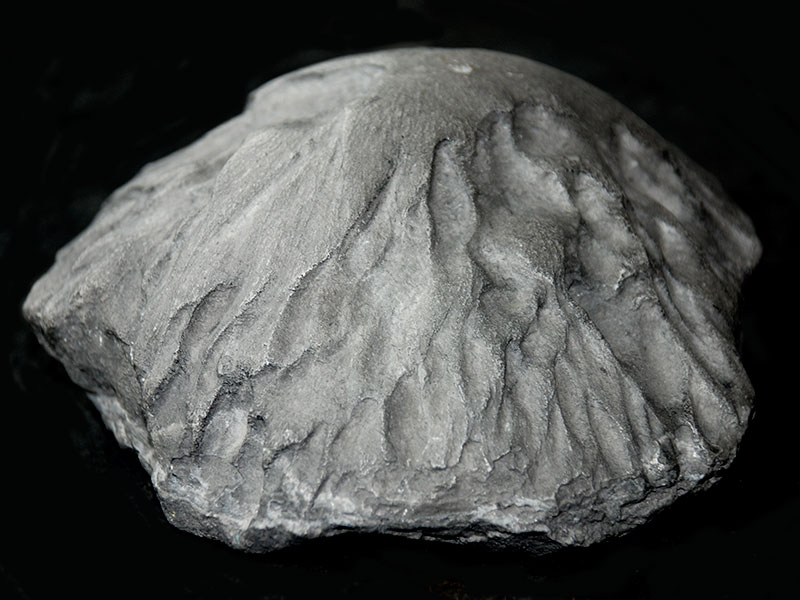 Replica of the Middlesborough meteorite