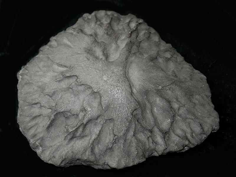 Replica of the Middlesborough meteorite