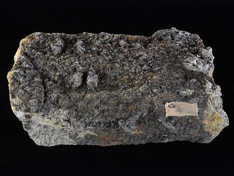 width 10 cm