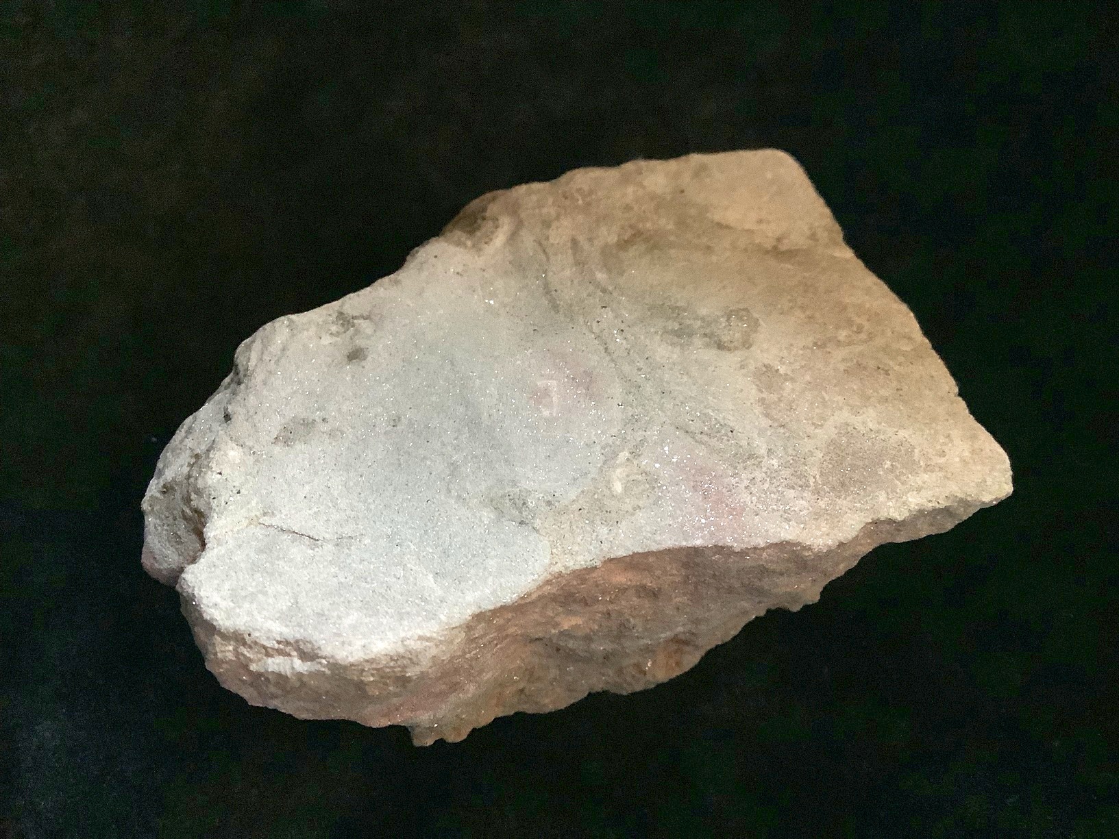 Hand specimen of siltstone on black background