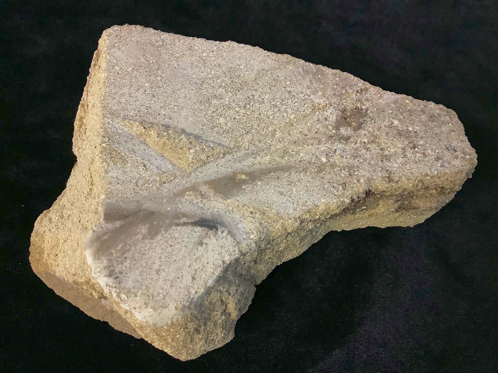 Hand specimen of sandstone on black background