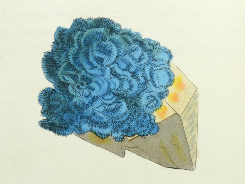 Illustration in Sowerby's British Mineralogy (1804-1817)