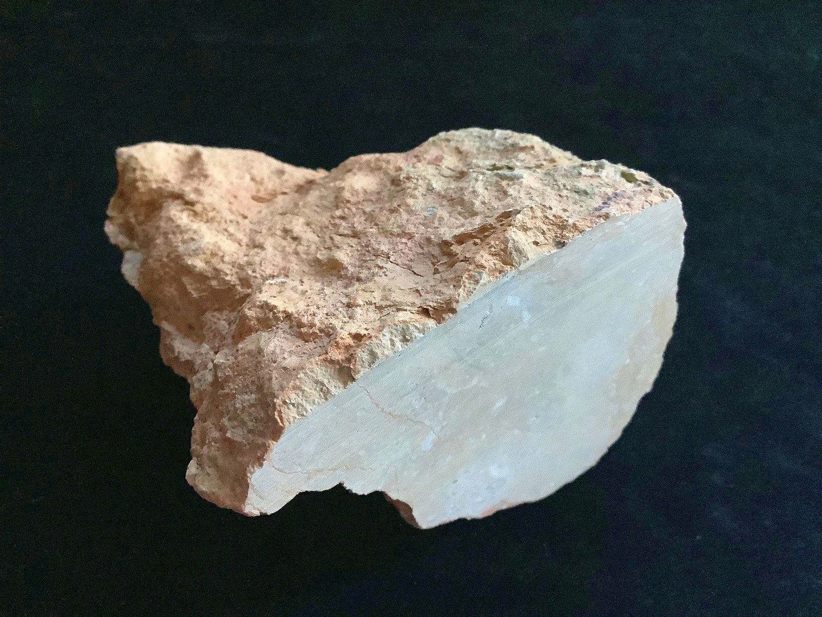 Hand specimen of limestone on black background