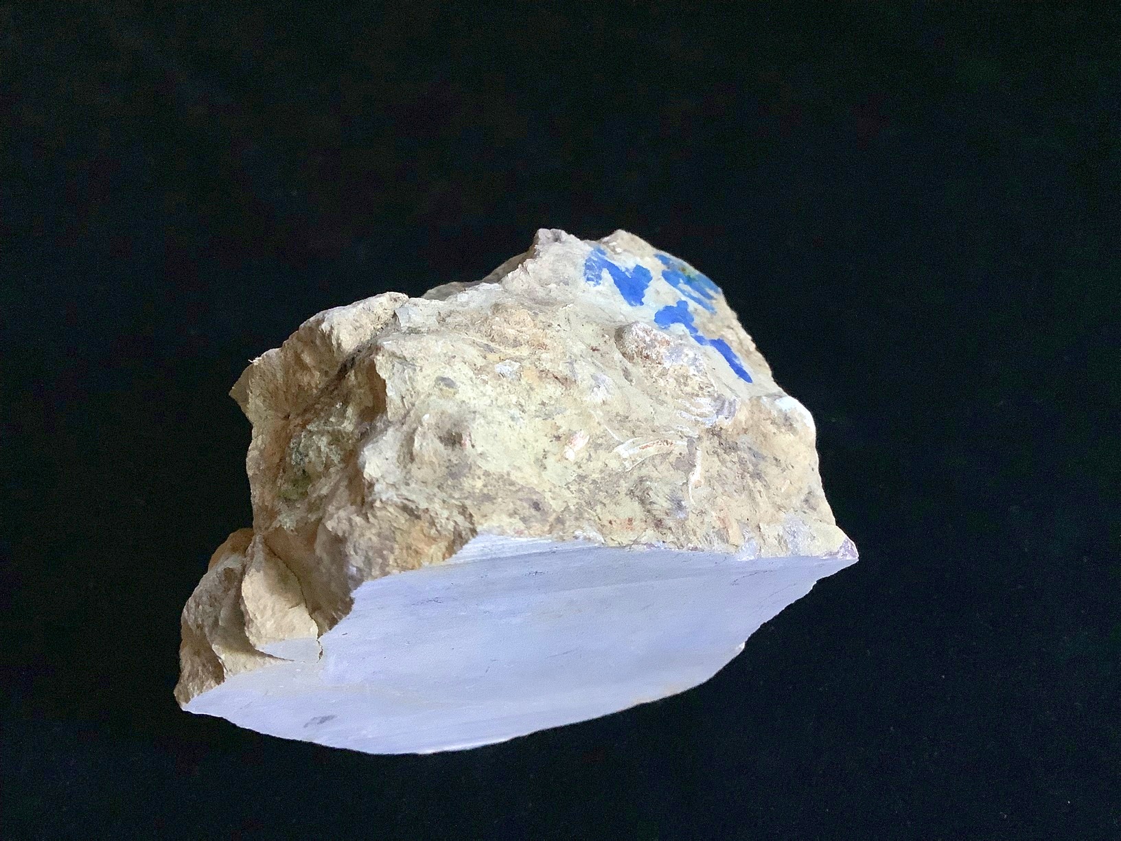 Hand specimen of limestone on black background