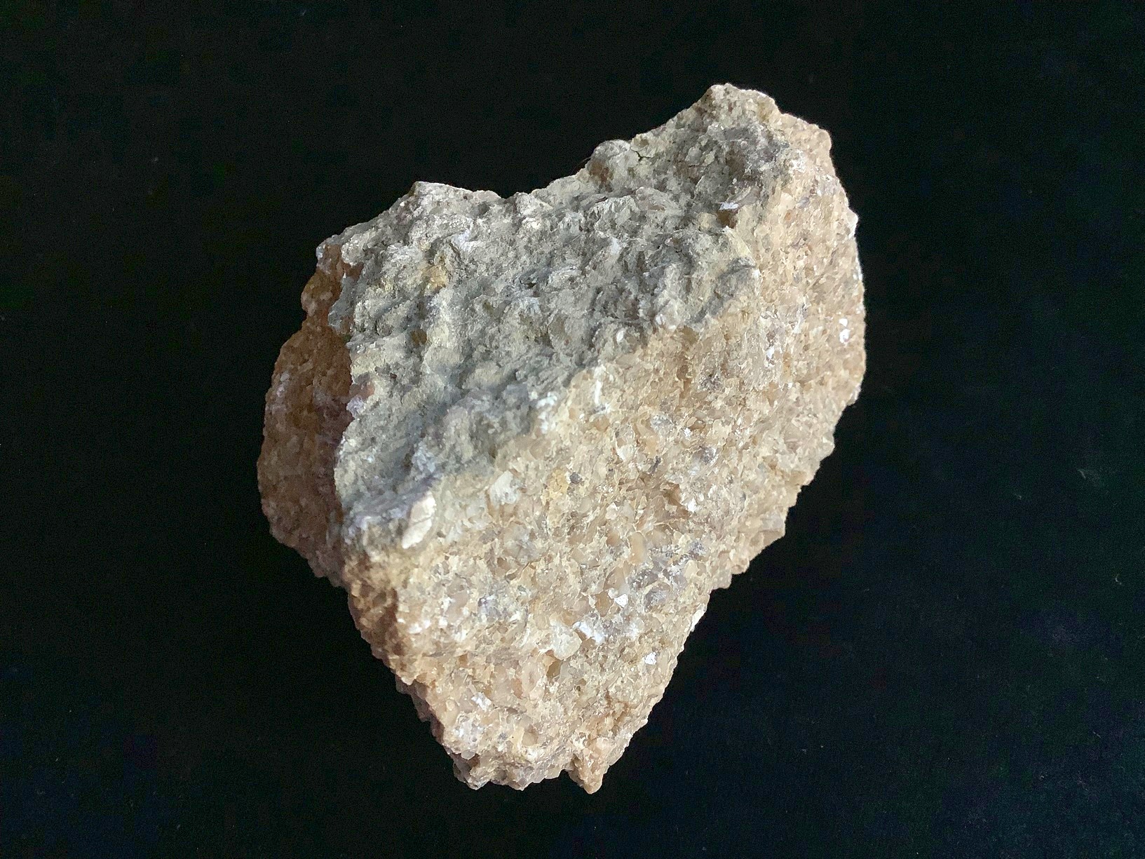 Hand specimen of limestone on black background