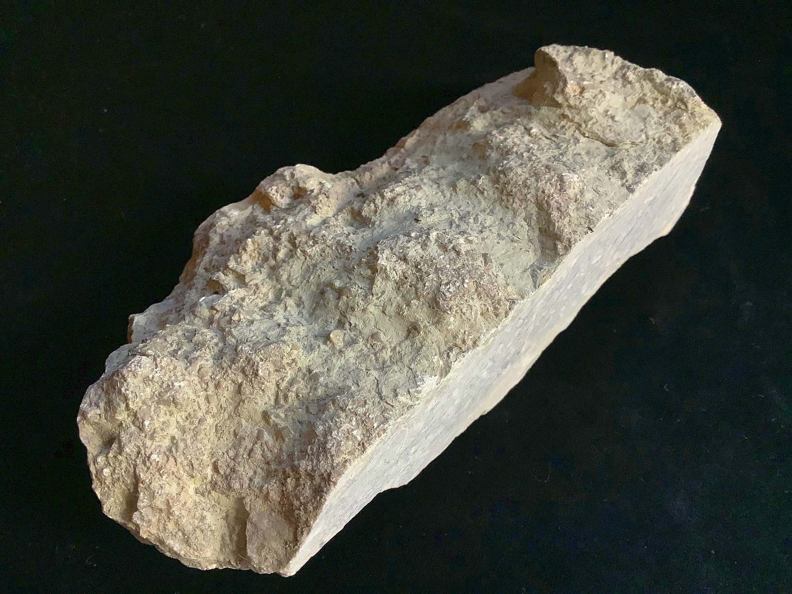 Hand specimen of limestone on black background