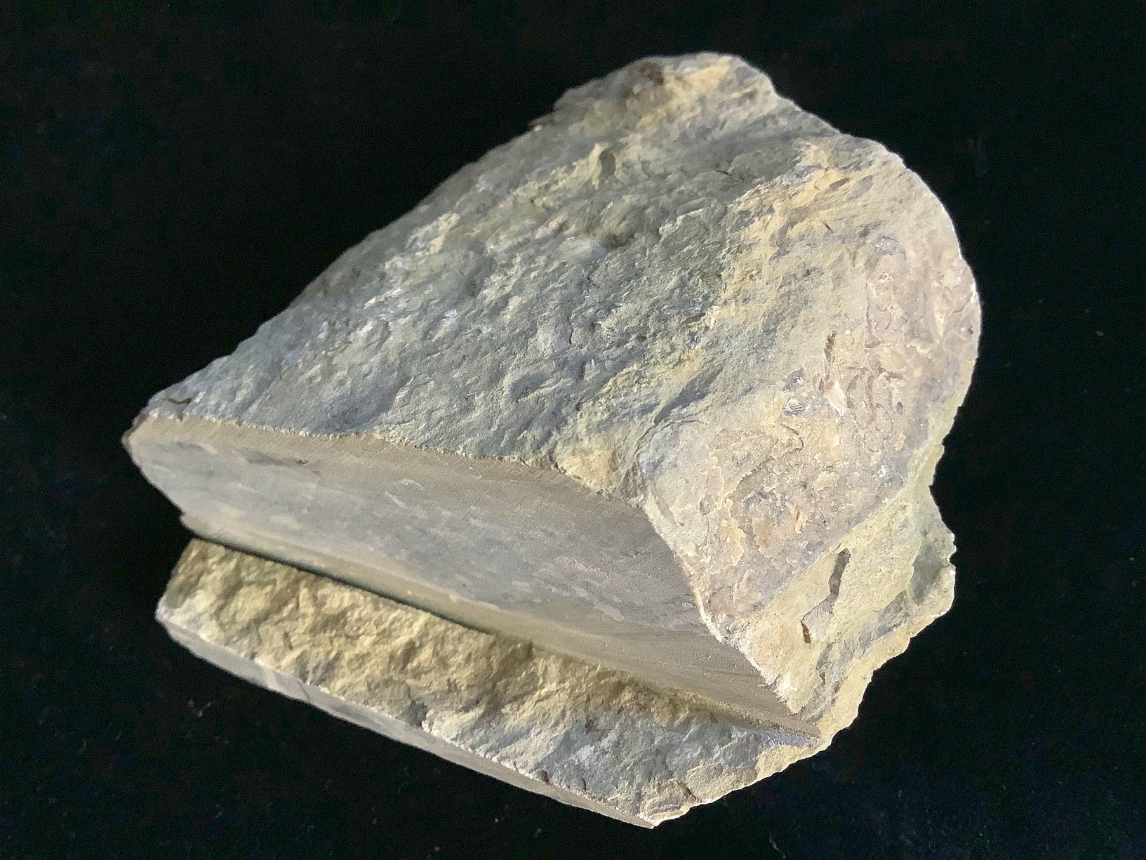 Hand specimen of limestone on black background