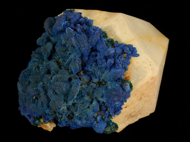 Azurite on quartz 4 cm across