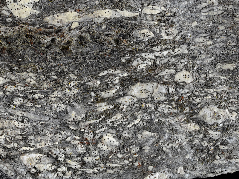 Limestone - width 3.5 cm