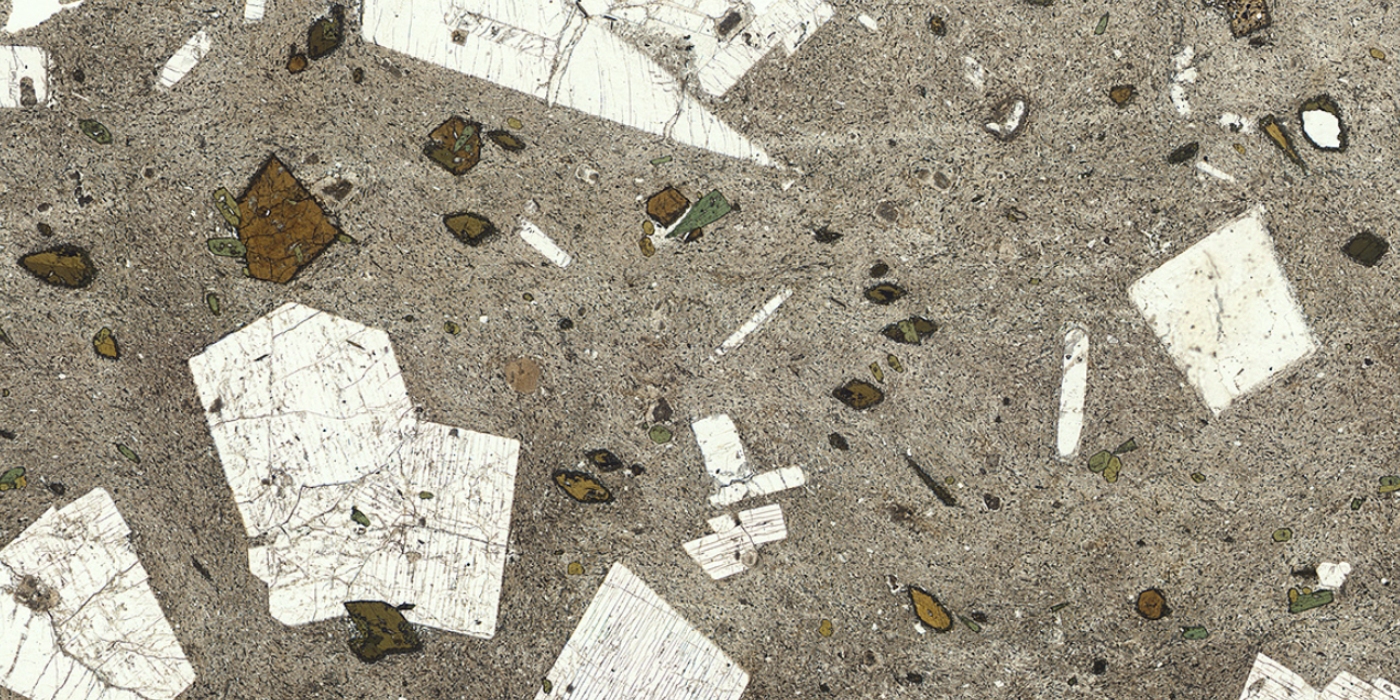 A phonolite: phenocrysts of hornblende, sanidine, nepheline, aegirine and sodalite in a fine-grained groundmass.