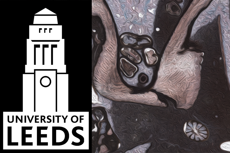 Leeds University logo on stylized microscopic view of fossiliferous limestone 