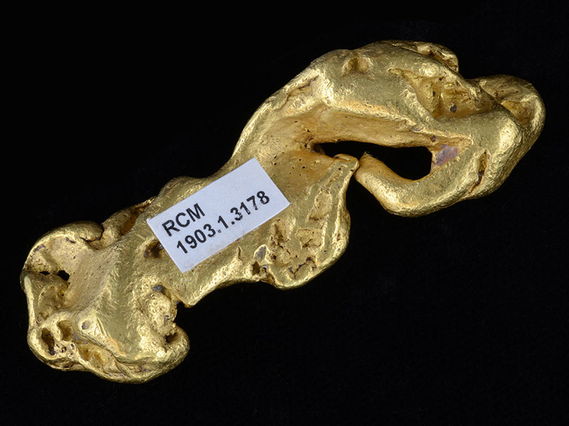 Gold nugget 5 cm in length