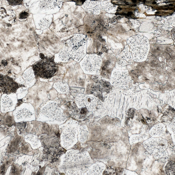 Plane-polarised image of speckled quartz grains in a sandstone