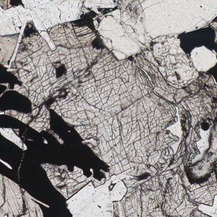 Pyroxene crystal with intersecting cleavage traces