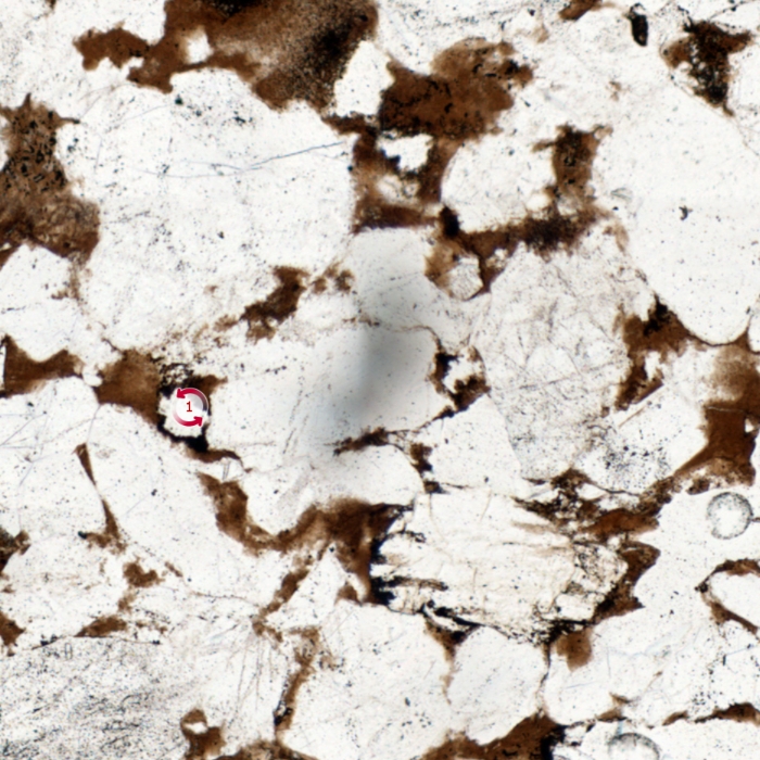 Plane-polarised image of blurred dirt on the lower surface of a thin section