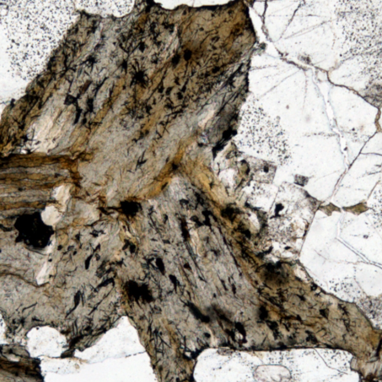 Rutile needles in biotite altering to chlorite