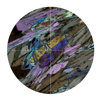 Circular image under crossed polars with a kyanite crystal under the crosshairs