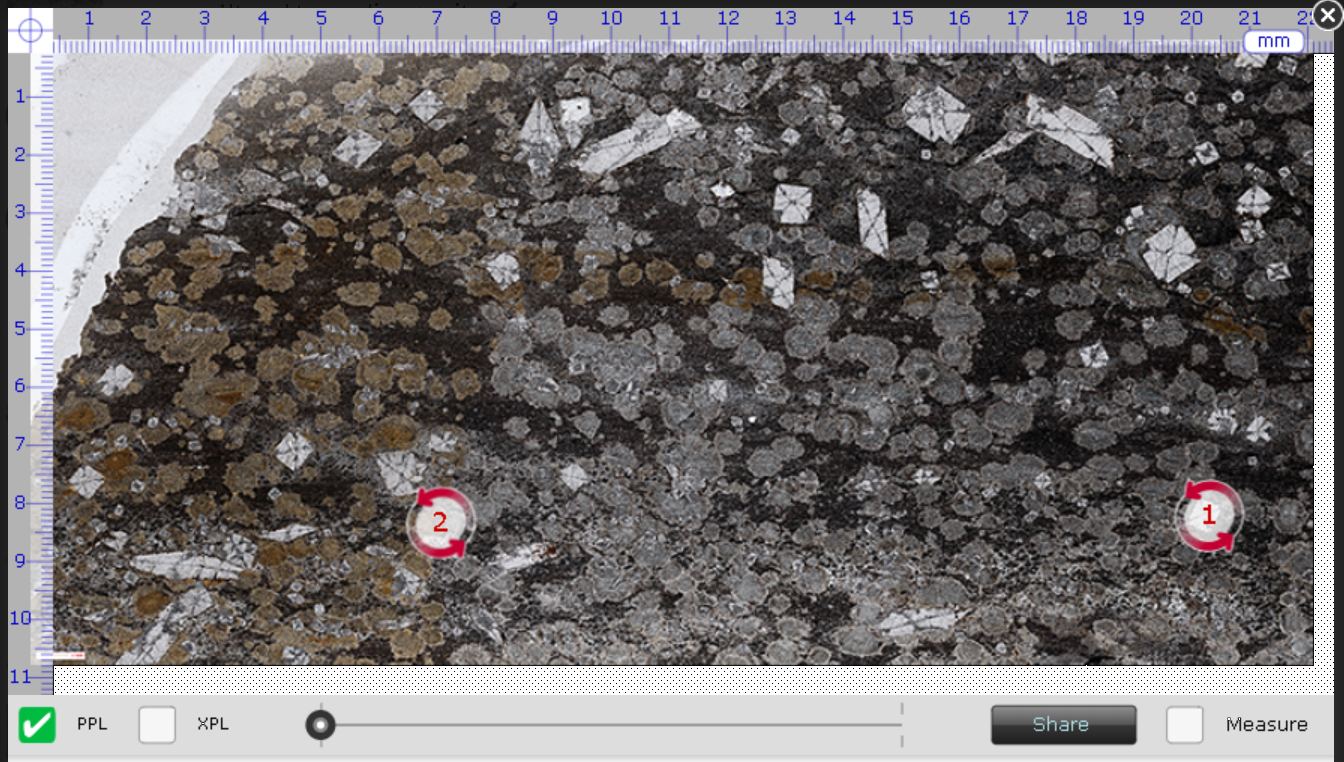 plane-polarised light image of metamorphic rock with two red rotation point icons and a marginal graticule
