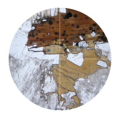 Circular image of brown biotite crystal in thin section with dark round spots (pleochroic haloes) 