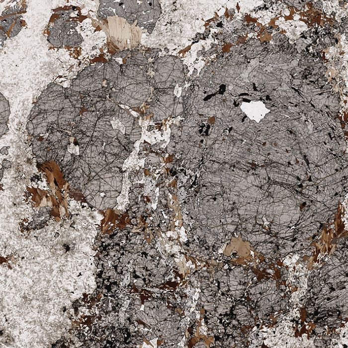 Garnet porphyroblasts in gneiss