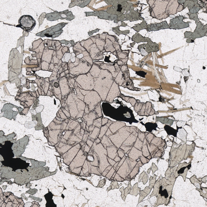 Microscope view showing minerals with a range of different relief