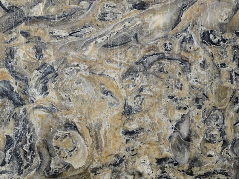 limestone - width 5.7 cm