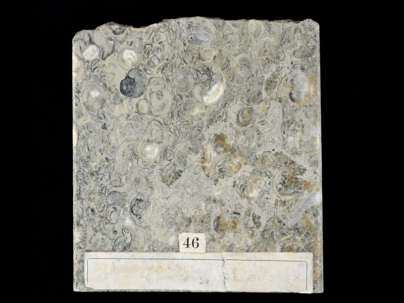 limestone - width 12 cm